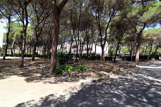 Interior de la urbanizaci�n PINE BEACH de Gav&agrave; Mar